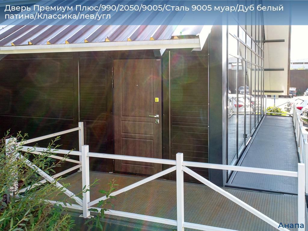 Дверь Премиум Плюс/990/2050/9005/Сталь 9005 муар/Дуб белый патина/Классика/лев/угл, anapa.doorhan.ru