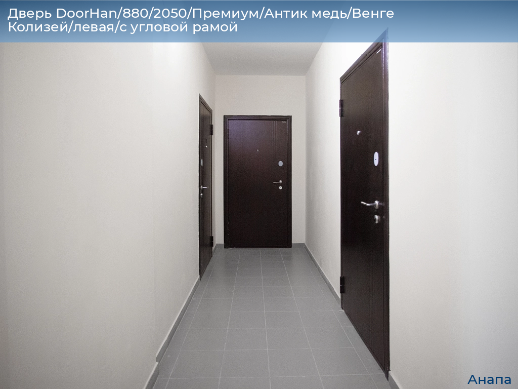 Дверь DoorHan/880/2050/Премиум/Антик медь/Венге Колизей/левая/с угловой рамой, anapa.doorhan.ru
