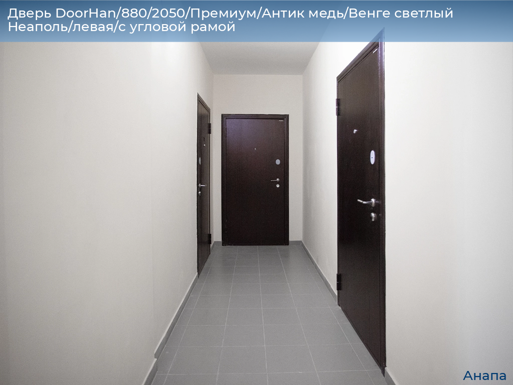 Дверь DoorHan/880/2050/Премиум/Антик медь/Венге светлый Неаполь/левая/с угловой рамой, anapa.doorhan.ru