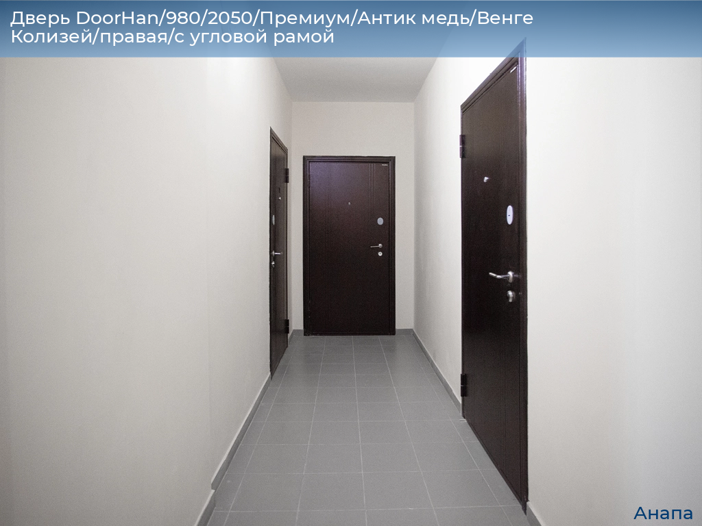 Дверь DoorHan/980/2050/Премиум/Антик медь/Венге Колизей/правая/с угловой рамой, anapa.doorhan.ru