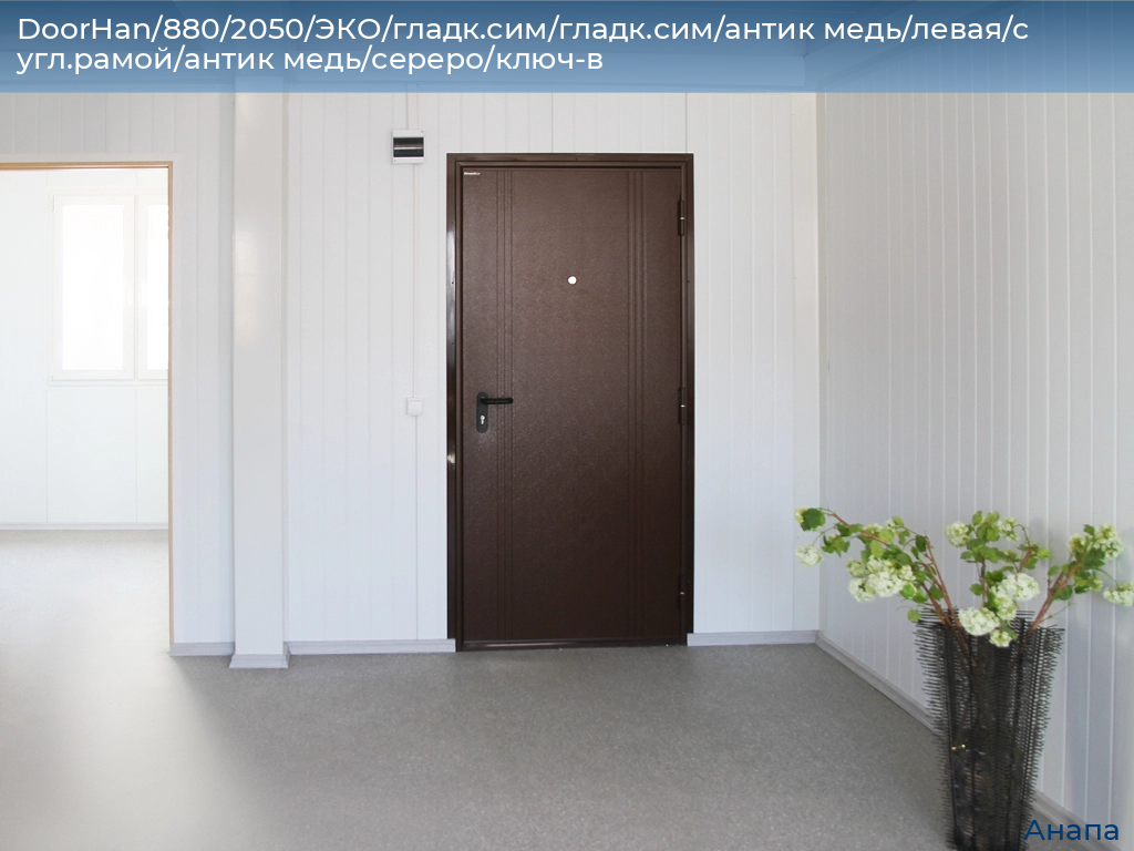 DoorHan/880/2050/ЭКО/гладк.сим/гладк.сим/антик медь/левая/с угл.рамой/антик медь/сереро/ключ-в, anapa.doorhan.ru